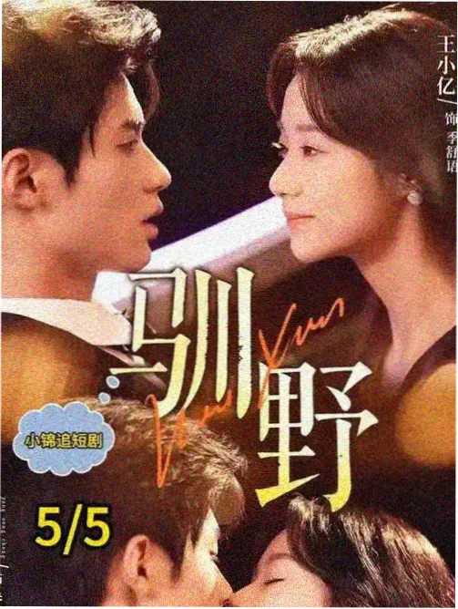 赶集录民间手艺纪实剧集拆解封面